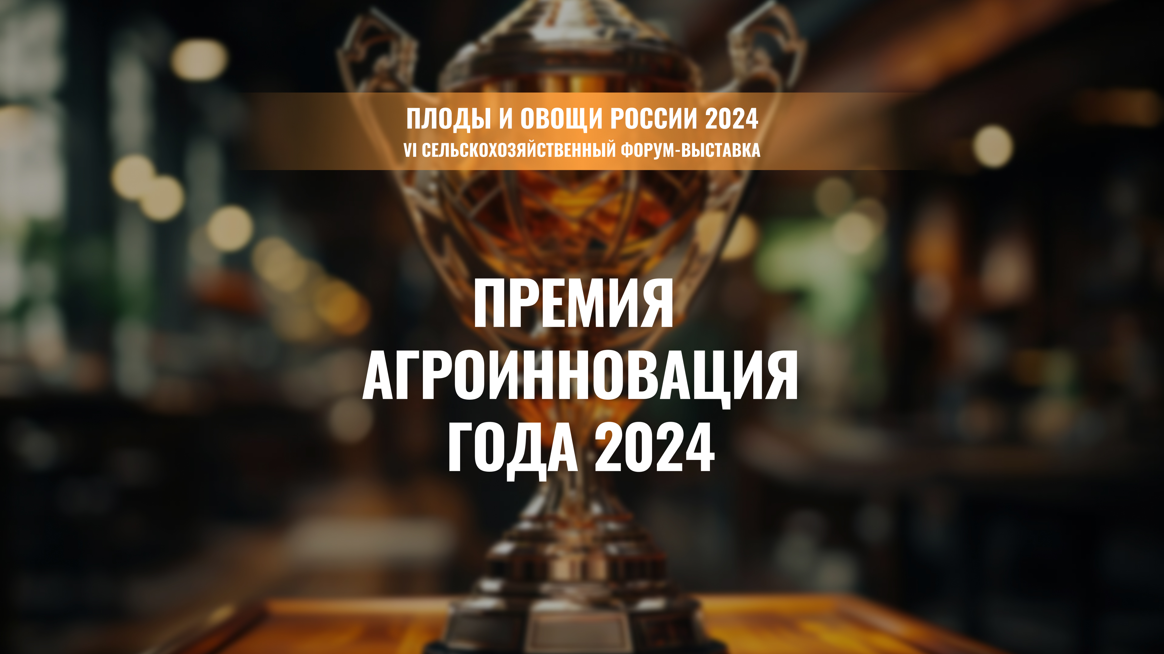           - 2024.