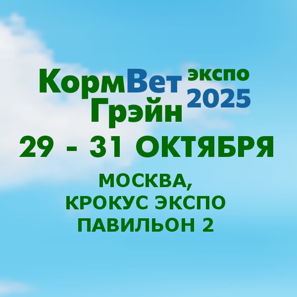  -     ,  ,    -2025