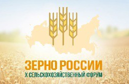 Приглашаем вас на X ЮБИЛЕЙНЫЙ СЕЛЬСКОХОЗЯЙСТВЕННЫЙ ФОРУМ «ЗЕРНО РОССИИ - 2026»!