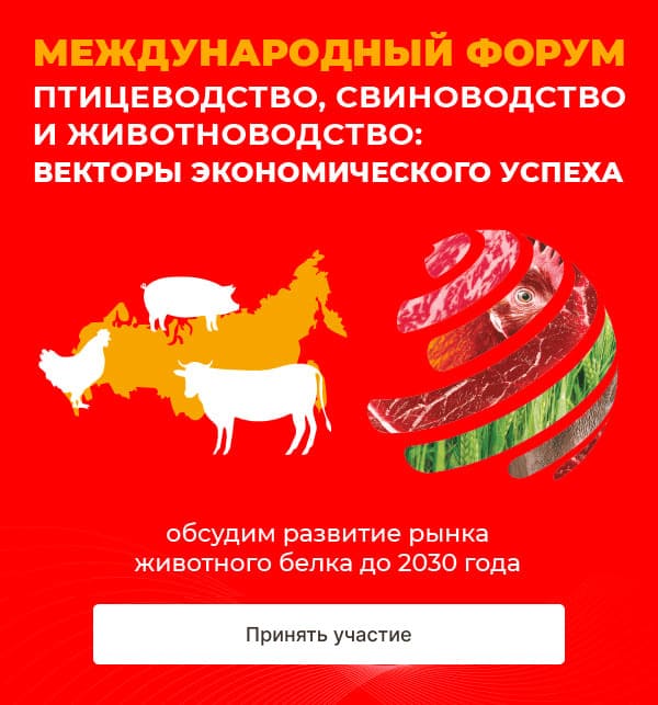 � 07 �� 10 ������� ����� ��������� ���� �� ����� ������ ��� ������� ��� �������� - �������� ������ 2026