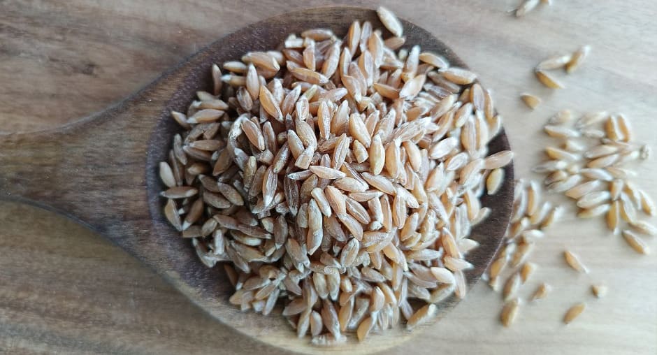 Предок пшеницы: специалисты ЦОК АПК рассказали о пользе и исследованиях полбы