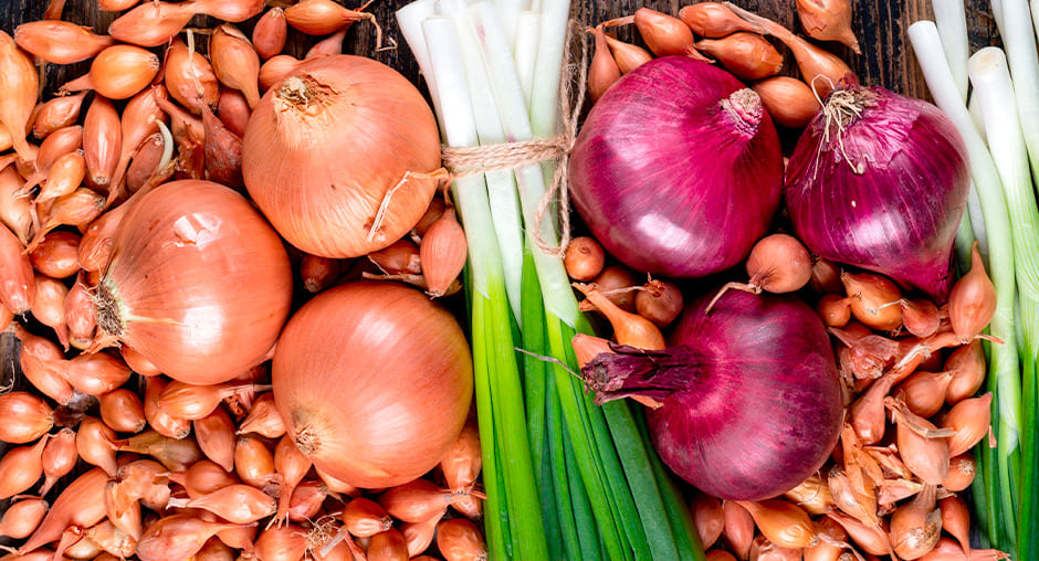 Домашний огород: выращиваем ароматную зелень к Новому году