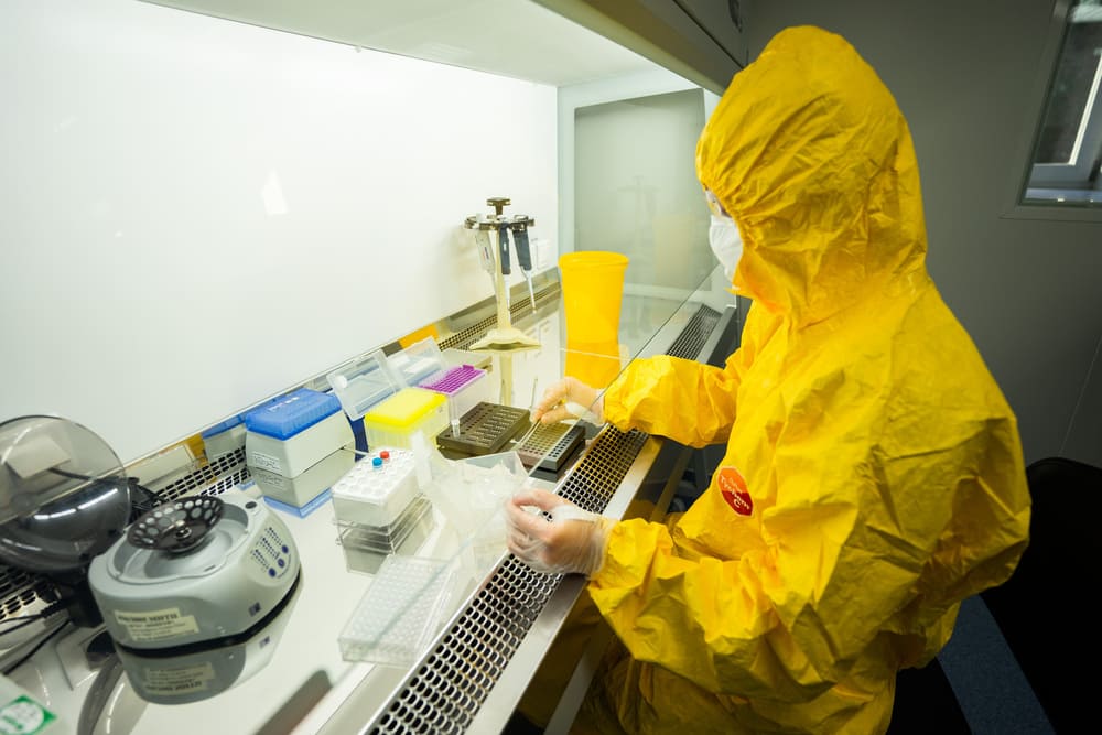 Ученые ФГБУ «ВНИИЗЖ» запатентовали первый в мире способ дифференциации штамма «Шеба» от других штаммов вируса панлейкопении кошек