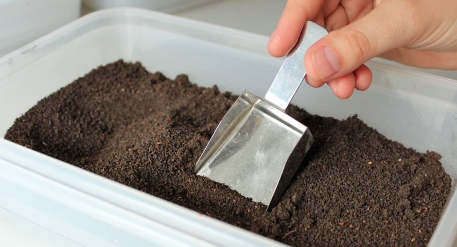 Что скрывает земля мегаполиса: невидимая экосистема под асфальтом