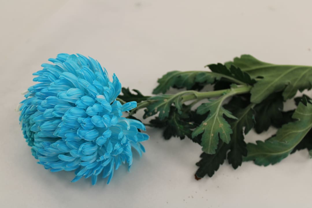 ����� 2 ����� ��������� ������, ���������� ������������ �����������, ������� ����������� ���������� ������� ��� ���