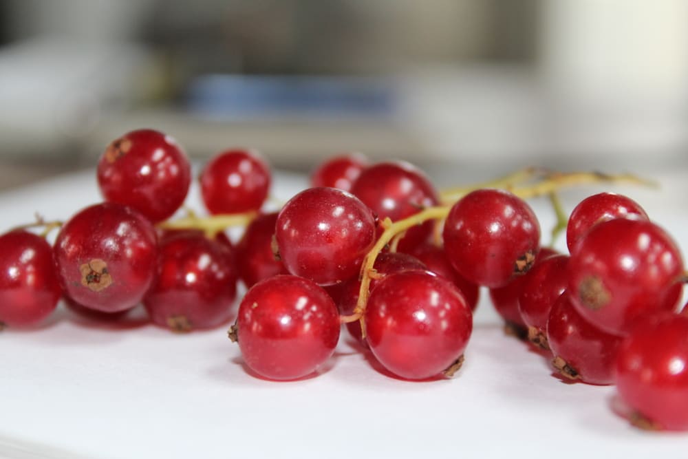 ������� �� ������ ����� �����?