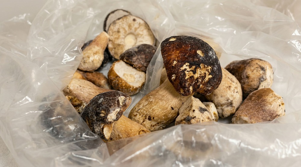 Превышение допустимого количества ртути в белых грибах выявили специалисты Алтайского филиала ЦОК АПК