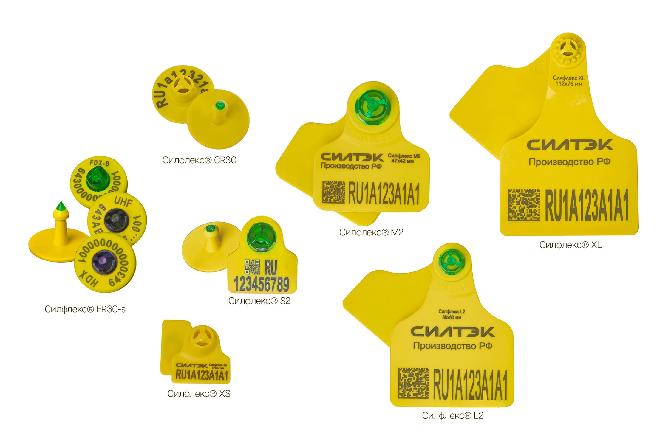 �����-�����: ������ ����� ����� ��� �������� ��������� ����� �� 20% �� ������ 2025 �.