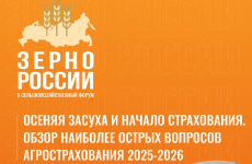 �����-�����: ����������� ������: ��� �������� ��������� ����� � ��� �������� �������?