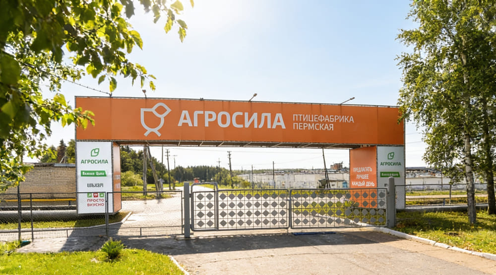 Пресс-релиз: Курс на рост: холдинг «АГРОСИЛА» расширяет бройлерное производство за счёт масштабных инвестиций