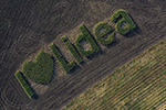 На выставке ЮГАГРО-2022 компания Lidea представит свои достижения проекта локализации семенной продукции